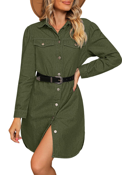 Cypress Green Women's Brief Work Denim Button Down Dress with Long Sleeves and Pocket